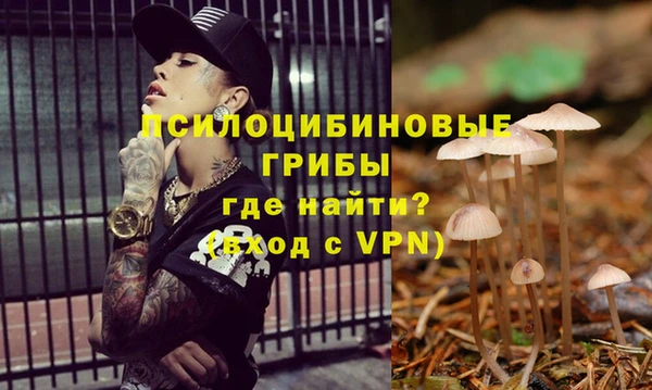 молекула духа Кукмор
