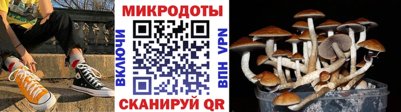 Галлюциногенные грибы мухоморы  Купить где  Шумиха 